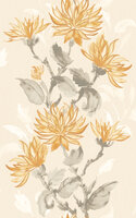 Dutch First Class Hanashi HAN50127W  (incl. Gratis Lijm*)