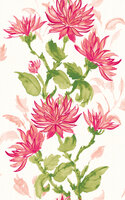 Dutch First Class Hanashi HAN50130W  (incl. Gratis Lijm*)
