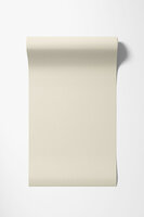 Dutch Wallcoverings Structured Walls A84918 Beige