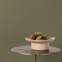 Dutch Wallcoverings Structured Walls A84927 Groen