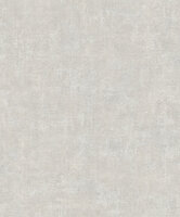 Dutch Wallcoverings Structured Walls A85401 Grijs
