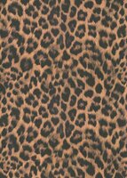 Dutch Wall Decor Wall Stories 10490-11 / 5021049011 Bruin