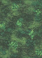 Dutch Wall Decor Wall Stories 10497-07 / 5021049707 Groen