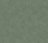 AS Creation Attractive 3 33457-2 Groen