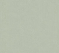 AS Creation Attractive 3 37509-4 Groen
