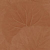 Esta Home Floral Fever 139915 Terracotta