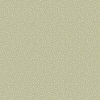 Caselio Forma 107987046 Groen (incl. Gratis Lijm*)