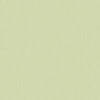 Caselio Forma 64527721 Groen (incl. Gratis Lijm*)