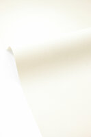 Caselio Cocoon 107990000 Wit (incl. Gratis Lijm*)