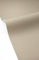Caselio Cocoon 107991531 Beige (incl. Gratis Lijm*)