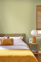 Caselio Cocoon 107997632 Groen (incl. Gratis Lijm*)