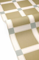 Caselio Forma 107867060 Groen (incl. Gratis Lijm*)