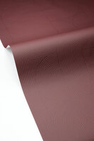 Caselio Forma 107878080 Rood (incl. Gratis Lijm*)