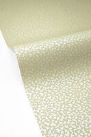 Caselio Forma 107987046 Groen (incl. Gratis Lijm*)
