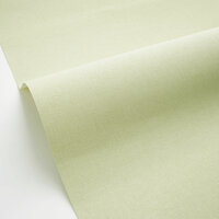 Caselio Forma 64527721 Groen (incl. Gratis Lijm*)