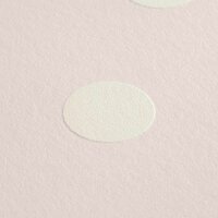 AS Creation Kids Studio 36336-6 / 363366 Beige / Wit