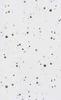 BN Wallcoverings Smalltalk 219236 - Zwart - Wit