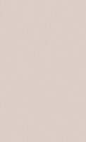 BN Wallcoverings Timeless Stories 219213 - Beige