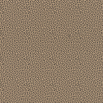 Rasch Selection Collectie 215618