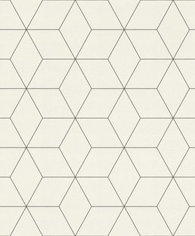 Rasch Selection Collectie 624304 Hexagone