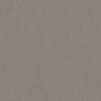 Eijffinger Natural Wallcoverings II 389506 (met Gratis Lijm!)