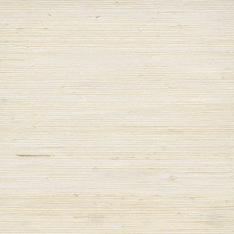 Eijffinger Natural Wallcoverings II 389520 (met Gratis Lijm!)