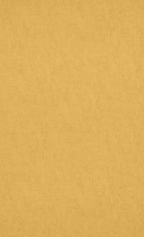 BN Van Gogh Behang 17132