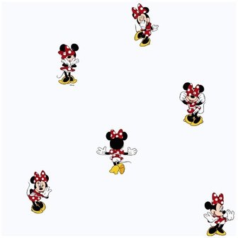 Disney Minnie mouse MN3002-1