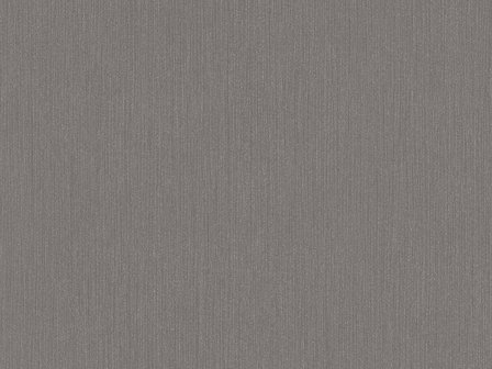 BN Wallcoverings Texture Stories Zilver 43876 - Grijs
