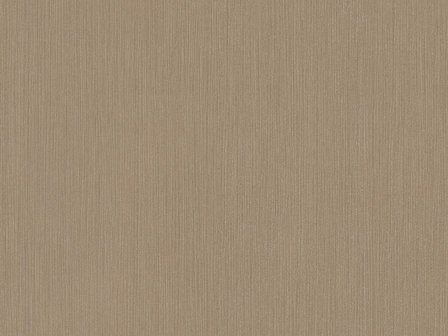 BN Wallcoverings Texture Stories Donker Beige 43875 - Beige