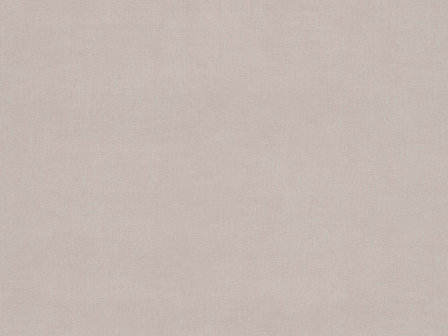 BN Wallcoverings Texture Stories / Color Stories Licht Bruin 218500 - Bruin
