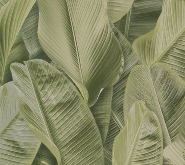 Montecolino Folium FO17803 Green Banana Leaves