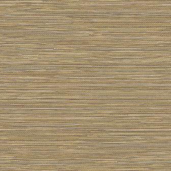 HookedOnWalls TAHITI GRASSCLOTH TA25042 (Met Gratis Lijm!)