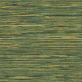 HookedOnWalls TAHITI GRASSCLOTH TA25045 (Met Gratis Lijm!)