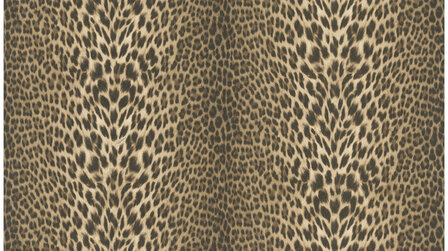 Dutch First Class Roberto Cavalli 7 18029 (*Gratis Lijm)