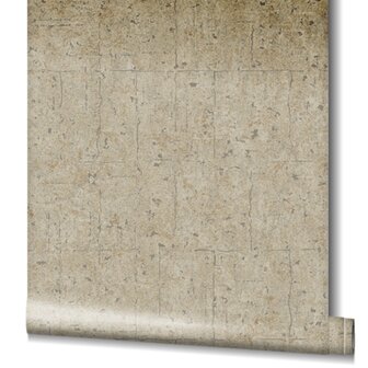 Noordwand Assorti 2024 -  6801-30 Beige - Metallic