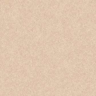 Dutch Wallcoverings Fabric Touch FT221234 Beige