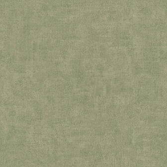 Dutch Wallcoverings Asperia - One Roll One Motif A51515 groen