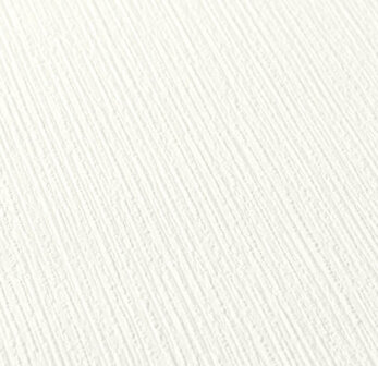 AS Creation 111 Shades of White 2885-78 / 288578 - Wit