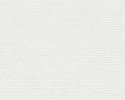 AS Creation 111 Shades of White 95679-1 / 956791 - Wit