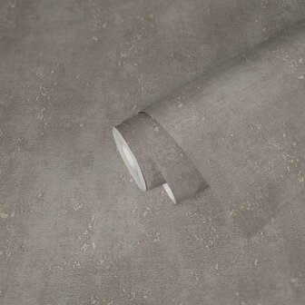 AS Creation Titanium 3 38195-3 / 381953 - Taupe Grijs