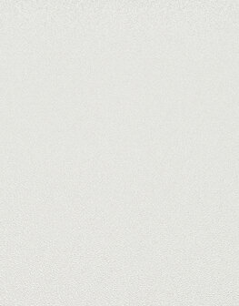Dutch Wall Decor Erismann Elle Decoration 3 10335-25 Creme