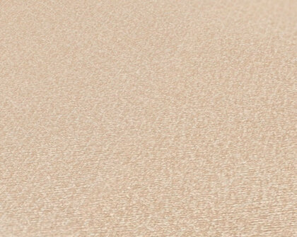AS Creation Natural Living - 38662-1 / 386621 Beige