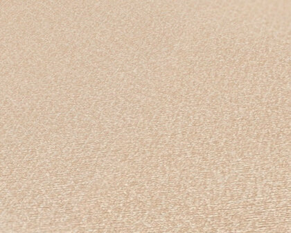 AS Creation Natural Living - 38662-1 / 386621 Beige