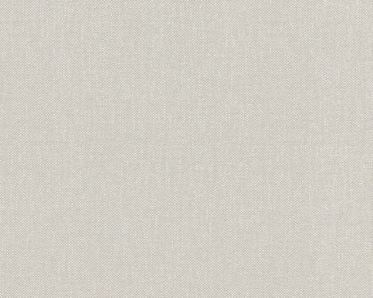 AS Creation Terra - 2982-87 / 298287 Beige