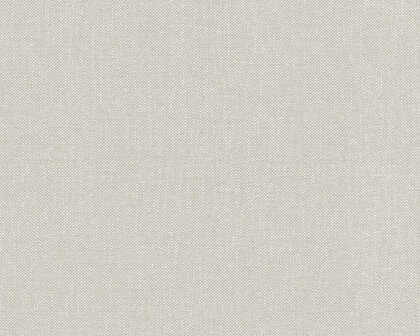 AS Creation Terra - 2982-87 / 298287 Beige