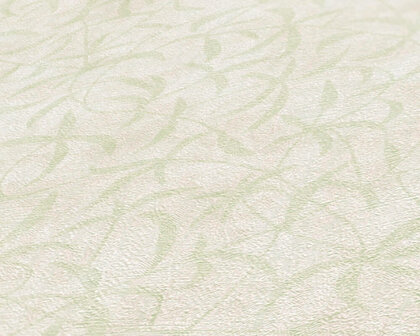 AS Creation Terra - 38920-3 - 389203 Creme / Groen
