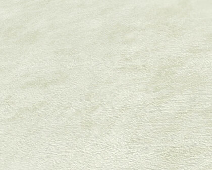 AS Creation Terra - 38922-5 / 389225 Groen