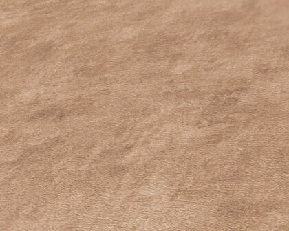 AS Creation Terra - 38922-9 - 389229 Beige / Bruin