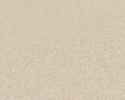 AS Creation Terra - 38925-2 / 389252 Beige